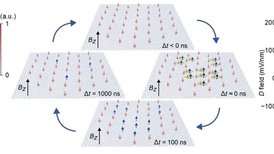 Observation of metastable chiral domain walls in a topological magnet featured image