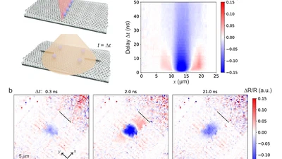 Observation of propagating collective spin–valley modes in twisted WSe2 featured image