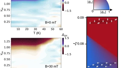 Tunable transient valley-pseudospin orders in a moiré Bose-Hubbard model featured image